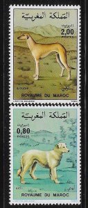 Morocco 1984 Native Dogs Sc 593-594 MNH A3194