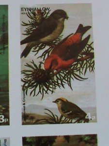 EYNHALLOW SCOTLAND STAMP -RARE BIRDS -IMPERF- MNH - MINI SHEET  NO GUM AS ISSUED