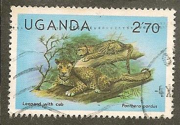 Uganda      Scott  287      Leopards, Fauna       Used