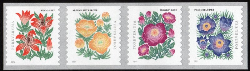 SC#5672-75 (Forever) Mountain Flora Coil Strip of Four (2022) SA