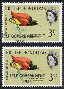 British Honduras SG218 3c with Self Government 1964 Overprint MISPLACED U/M