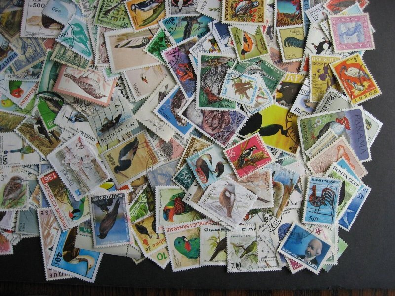 Topical hoard breakup 500 birds. Duplicates, mixed condition