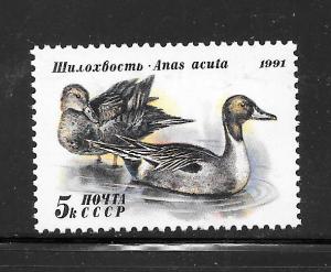 Russia #6009 MNH Single