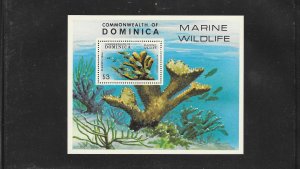 CORAL - DOMINICA  #624  MNH