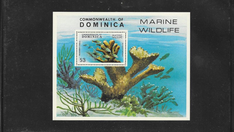 CORAL - DOMINICA  #624  MNH