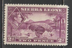 Sierra Leone  SC  176  Mint  Hinged