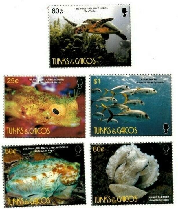 Turks And Caicos - 2006 - UNDERWATER WORLD - Set of 5 Stamps - MNH