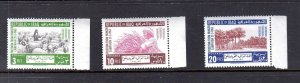 IRAQ #333-335 1963 FREEDOM FROM HUNGER MINT VF NH O.G .