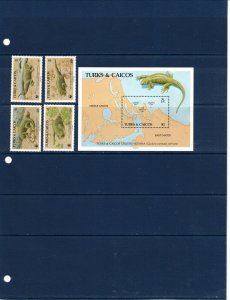 Turks& Caicos Isl. Sc 710-14 MNH Set & S/S of 1986 - WWF - Reptiles - HJ06