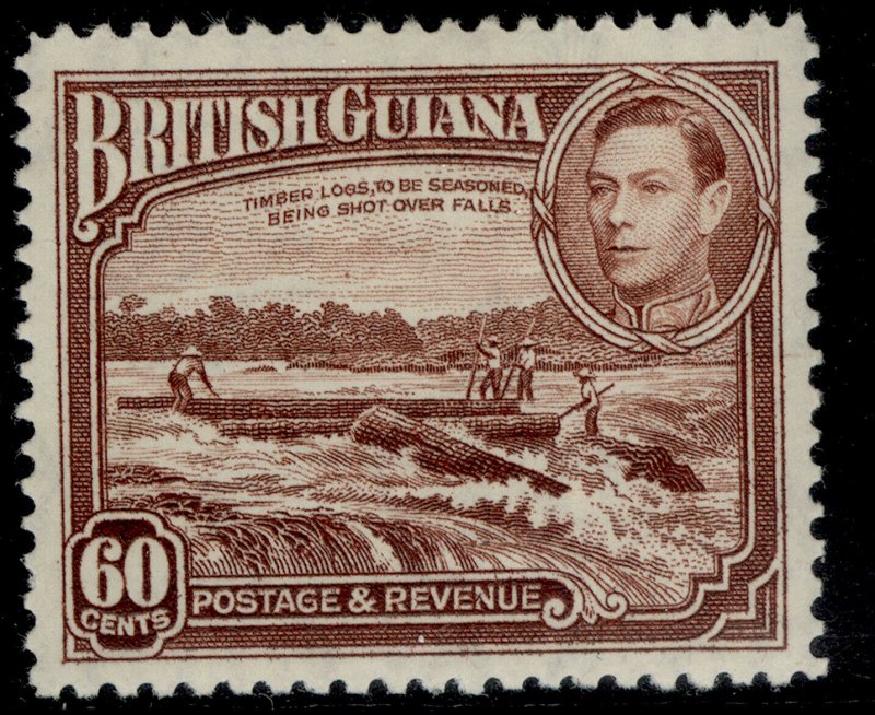 BRITISH GUIANA GVI SG315, 60c red-brown, M MINT. Cat £23.
