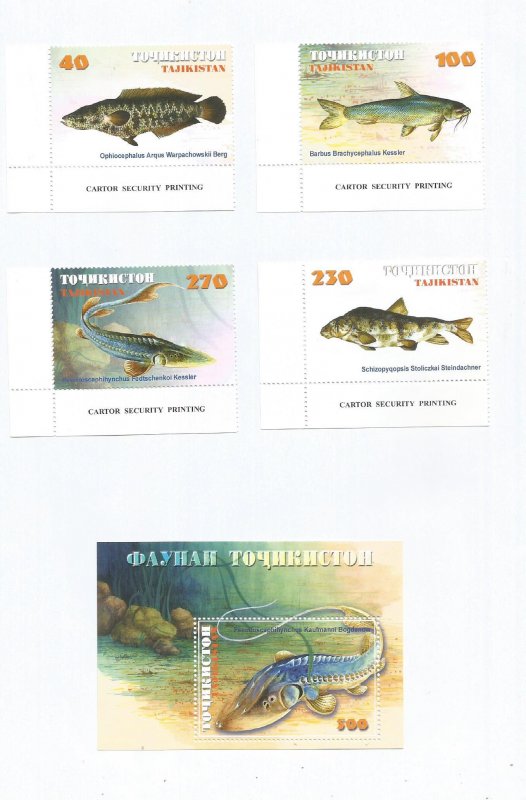 TADZHIKISTAN - 2000 - Fishes - Perf 4v Set & Souv Sheet - M L H