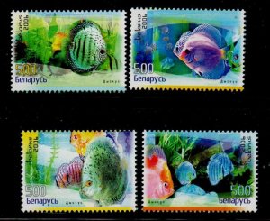 Belarus Sc 608-611 2006 Discus Fish stamp set mint NH