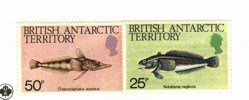 British Antarctic Territory #113-4 MH fish