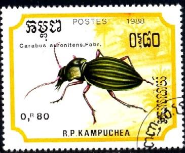 Beetle, Carabus Auronitens, Cambodia stamp SC#893 Used