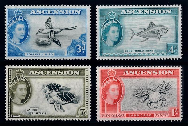 [64676] Ascension 1956 Marine Life Fish Crab Bird Turtle From Set MLH