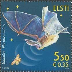 Estonia 2008 #589 MNH. Bat