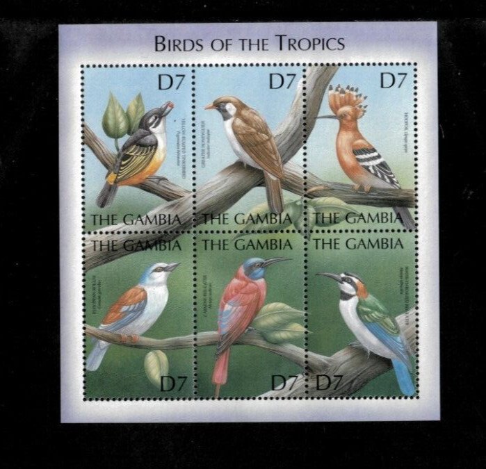Gambia 2000 - Birds of the Tropics - Sheet of 6 Stamps - Scott #2348 - MNH