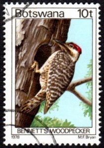 Botswana 204 - Used - 10t Bennett's Woodpecker (1978) (cv $0.85) (3)