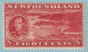 NEWFOUNDLAND 236  MINT NEVER HINGED OG ** PERF 14.1 - NO FAULTS VERY FINE! - LPS