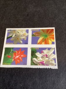 Scott#4862-65 49c Winter Flowers-Booklet Block of 4 MNH-2014-US