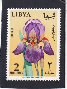 Libya   #     285     unused