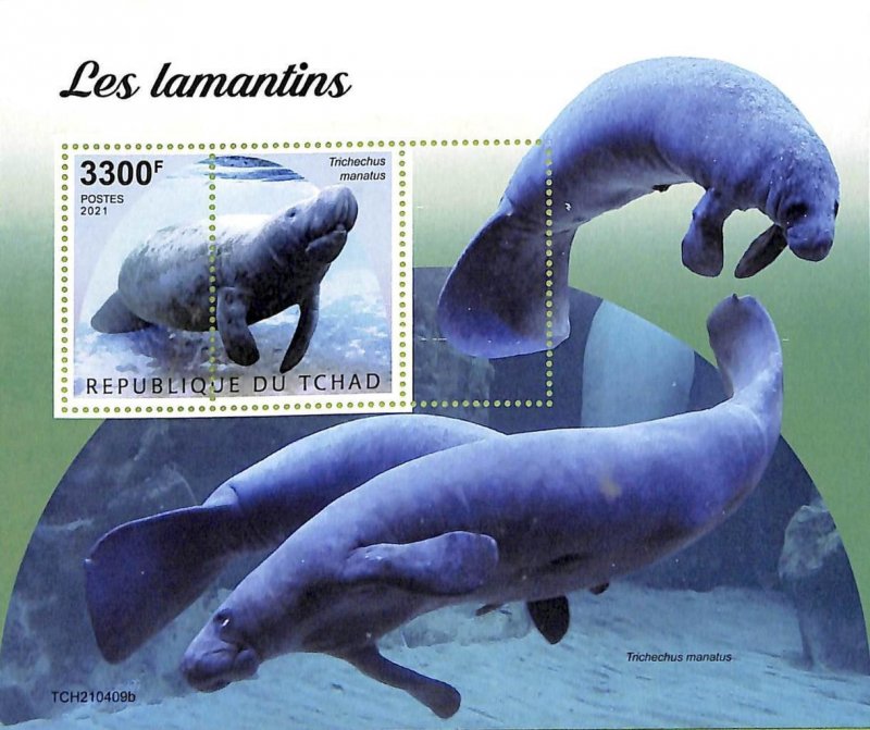 A9583 - TCHAD - MISPERF ERROR Stamp Sheet - 2021 - Manatees, Marine Life-