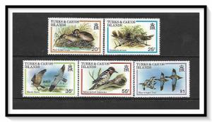 Turks & Caicos #425-429 Birds MNH