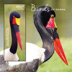 GHANA 2015 - BIRDS OF GHANA - Souvenir Stamp Sheet - Scott #2842 - MNH