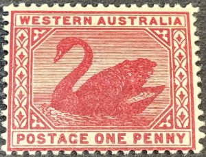 WESTERN AUSTRALIA # 73-MINT NEVER/HINGED--SINGLE--CARM-ROSE--1899-01