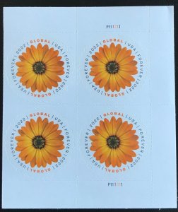 US #5680 MNH Plate Block of 4 Daisy (1.30)