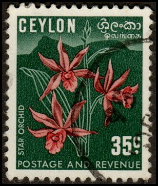 Ceylon 314a - Used - 35c Star Orchids (1954) (cv $0.70)