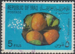 IRAQ   # 562   Used