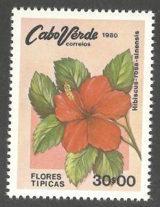 CAPE VERDE SCOTT 421