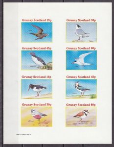 Grunay, Scotland Local. 1982 issue. Sea Birds, IMPERF sheet of 8.