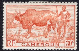 CAMEROUN SCOTT 305