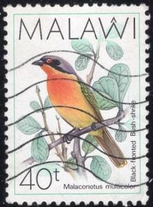 Malawi 527 - Used - 40t Black-fronted Bushshrike (1988) (cv $0.40) (2)