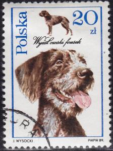 Poland 2902 Dogs Czech Fousek Pointer 1989