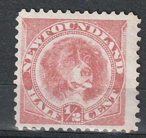 Newfoundland #57 Unused F-VF   (588)