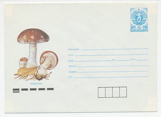 Postal stationery Bulgaria 1990 Mushroom