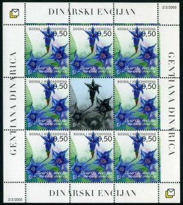 Bosnia & Herzegovina Croat 135-136 sheets,MNH. Flowers 2005.