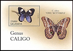 Uganda 1425, MNH, Butterflies souvenir sheet, Genus Caligo