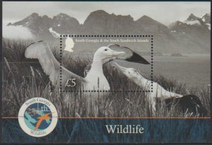 2025 South Georgia Birds  SS (Scott NA) MNH