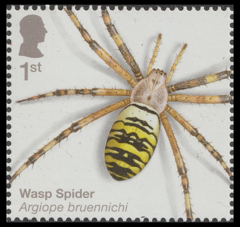 GB 5230 Spiders Wasp Spider 1st single MNH 2024