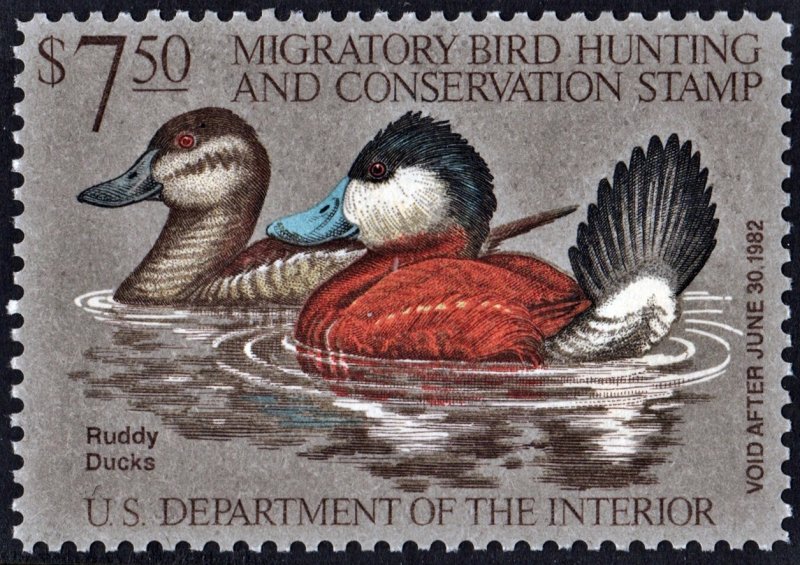 RW48 $7.50 Ruddy Ducks Duck Stamp (1981) MNH