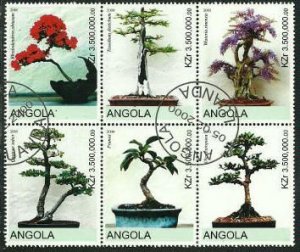 Angola Bonsai Canceled Block of 6