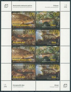 Bosnia & Herzegovina 2018 MNH Fauna Freshwater Fish 8v M/S Fishes Stamps