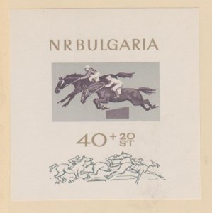 Bulgaria #B28 Stamps - Mint NH Souvenir Sheet
