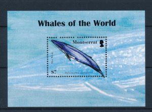 [40596] Montserrat 2008 Marine life Blue whale Souvenir Sheet MNH