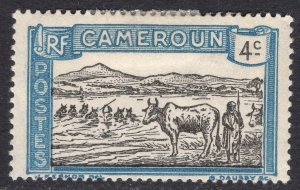 CAMEROUN SCOTT 172