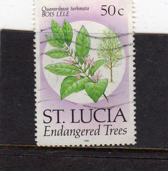St Lucia Endangered Trees used